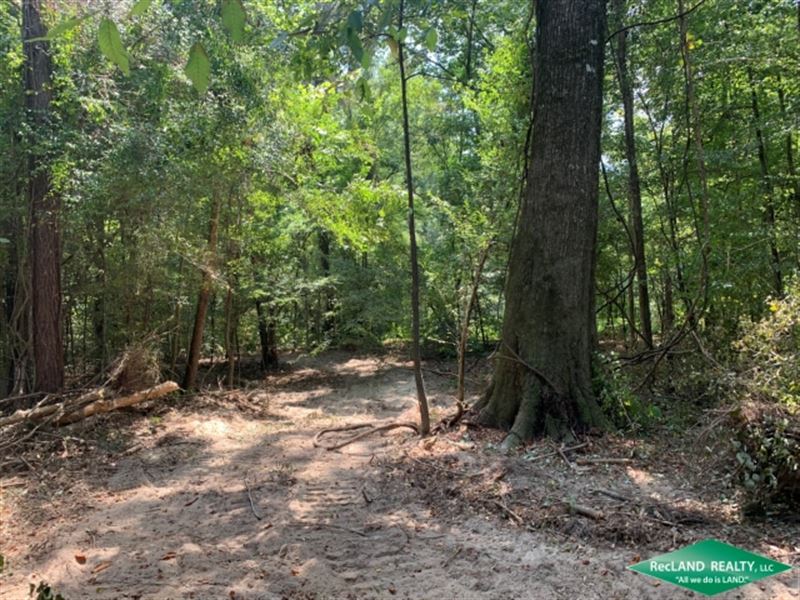 34 Ac Hunting Tract Near Town : West Monroe : Ouachita Parish Parish : Louisiana