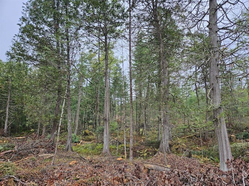 Pittsfield Route 2/Canaan Rd 48.8 : Pittsfield : Somerset County : Maine