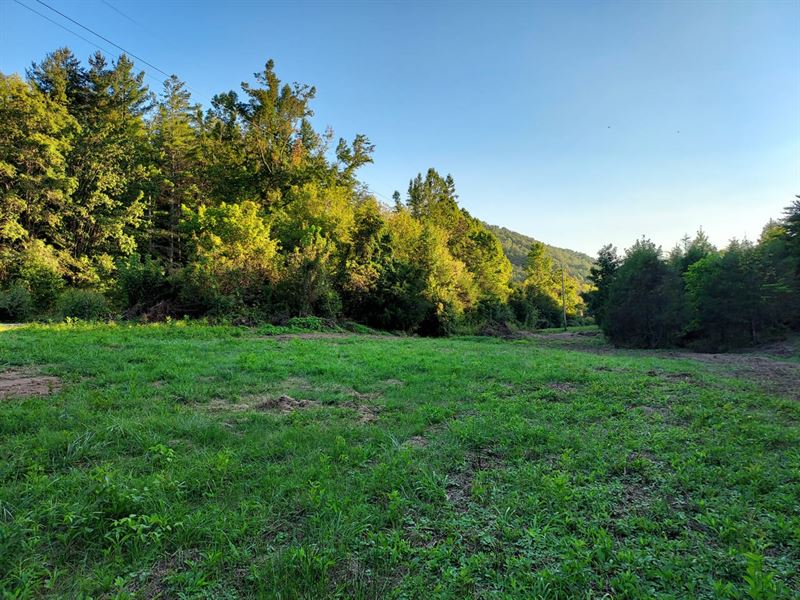 Unrestricted Land Has It All : Sneedville : Hancock County : Tennessee