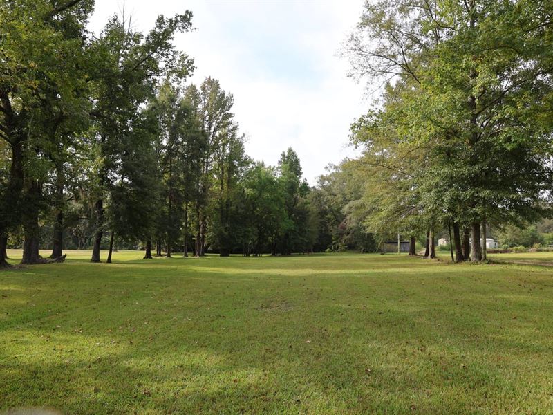 43.82 Acres Near Hope Hull : Hope Hull : Montgomery County : Alabama