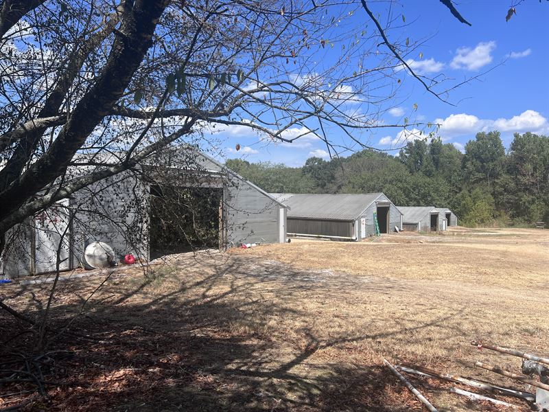 6 House Poultry Farm : Wesson : Copiah County : Mississippi