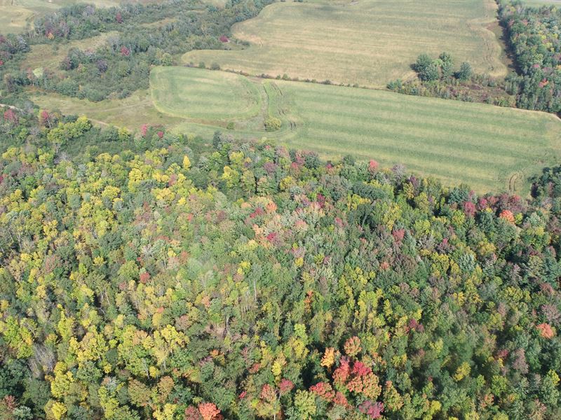 149 Acres Chippewa County, Farm for Sale in Wisconsin, 359432 FARMFLIP