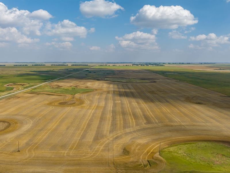 Auction Rolette Co. 850.67 Acres, Farm Auction in North Dakota, 359453 FARMFLIP