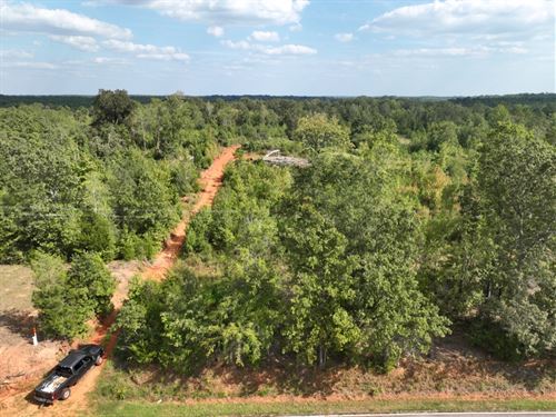 Wooded Acreage : Abbeville : South Carolina