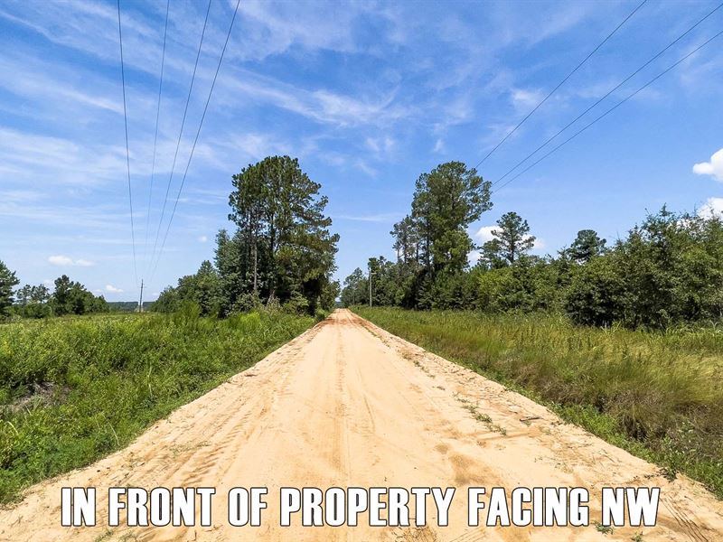 10 Acres Vacant Land in Eastman, GA, Farm for Sale by Owner in