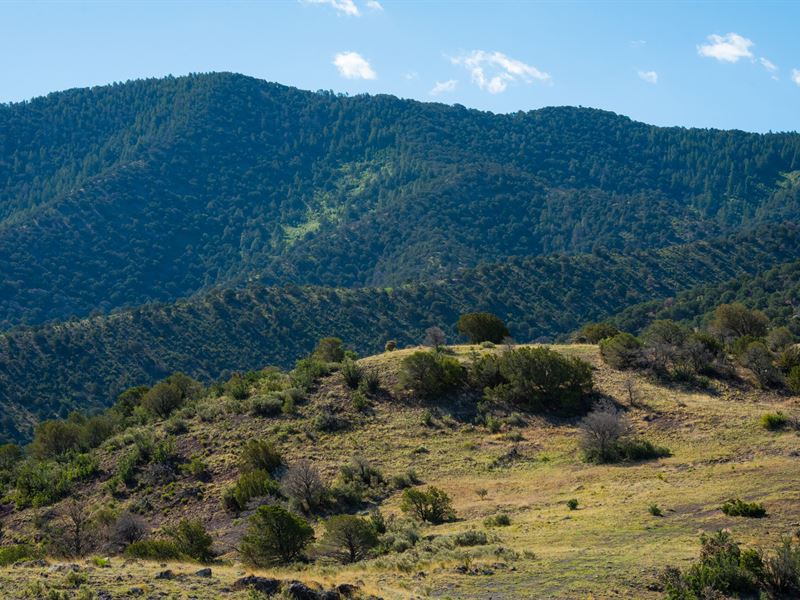 Double V Hunting : Nogal : Lincoln County : New Mexico