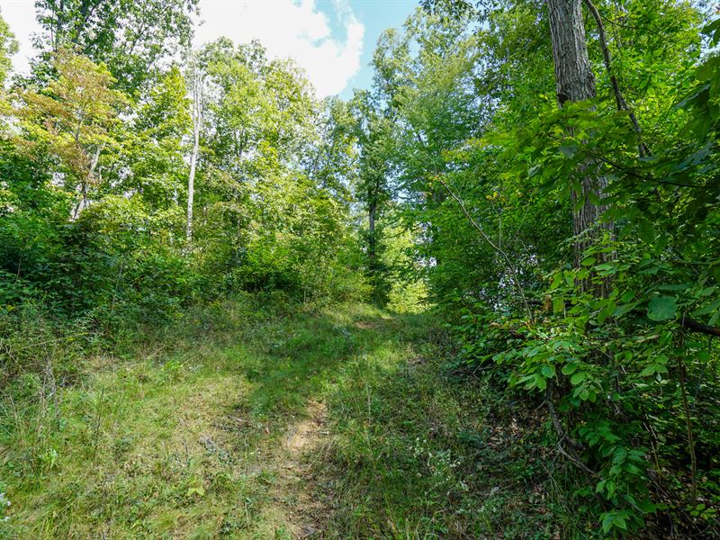 Morningstar Rd 24.6 Acres : Blue Rock : Muskingum County : Ohio