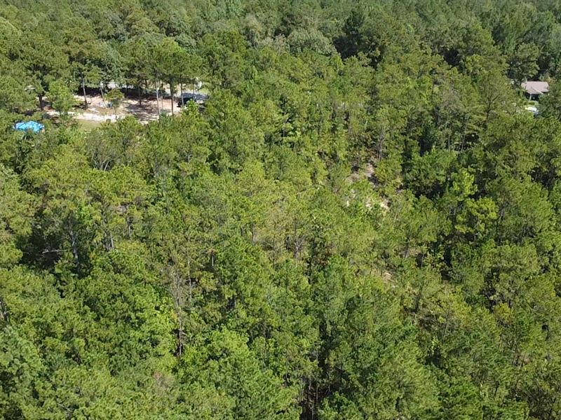 8.5 Acres Lee Co : Salem : Lee County : Alabama