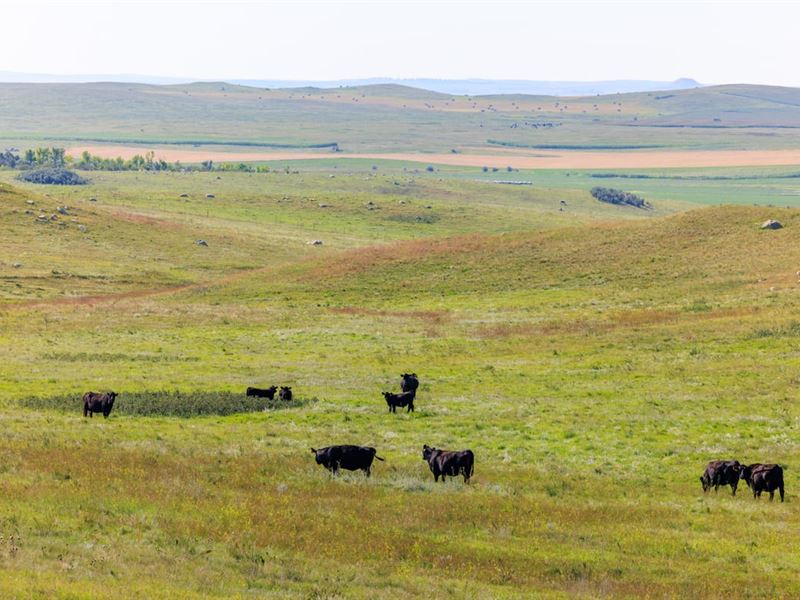Maier Lot 2 : New Salem : Oliver County : North Dakota