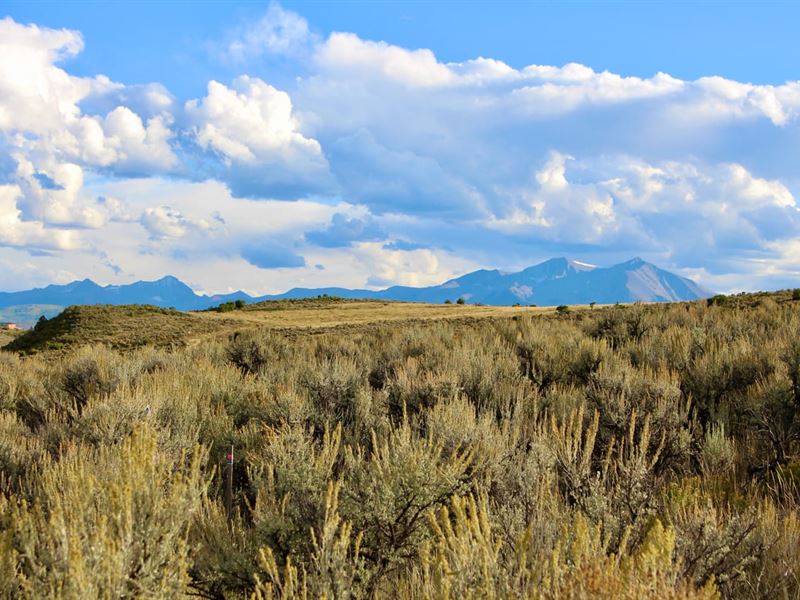 Carbondale Mountain Building Lot fo : Carbondale : Garfield County : Colorado