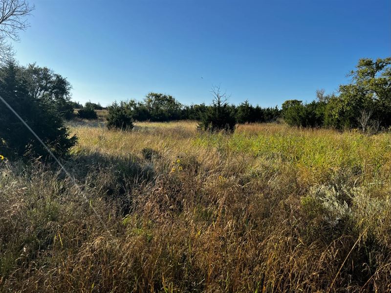 The Jones 155 : Putnam : Dewey County : Oklahoma