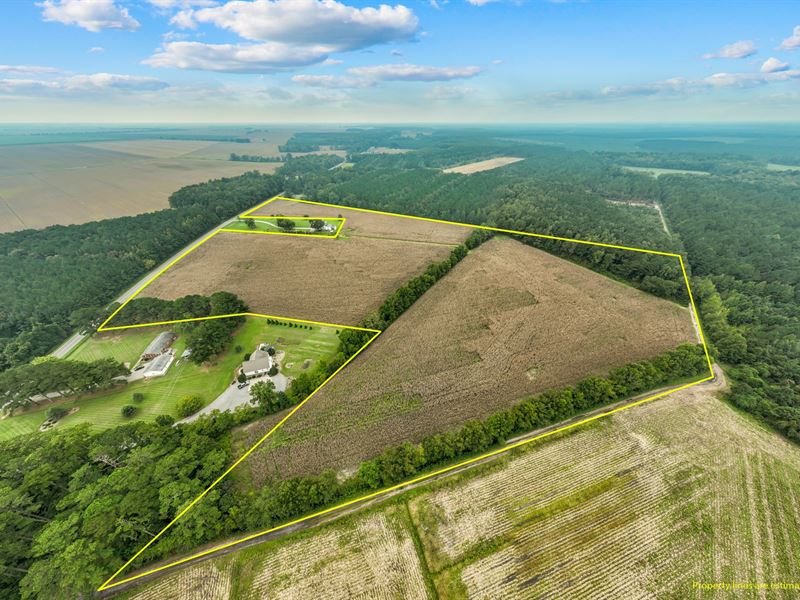 33 Acres for Sale Near Plymouth, NC : Plymouth : Washington County : North Carolina