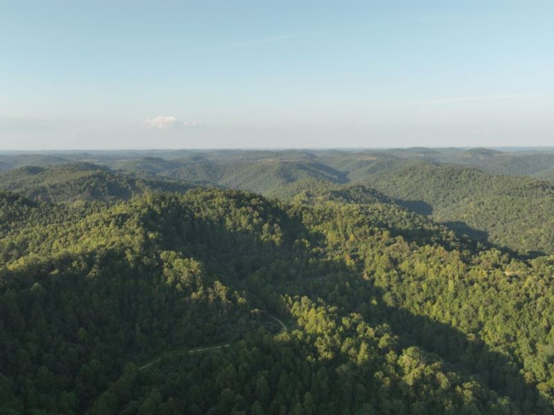 197 Acres in Mingo County, WV, Farm for Sale by Owner in West Virginia