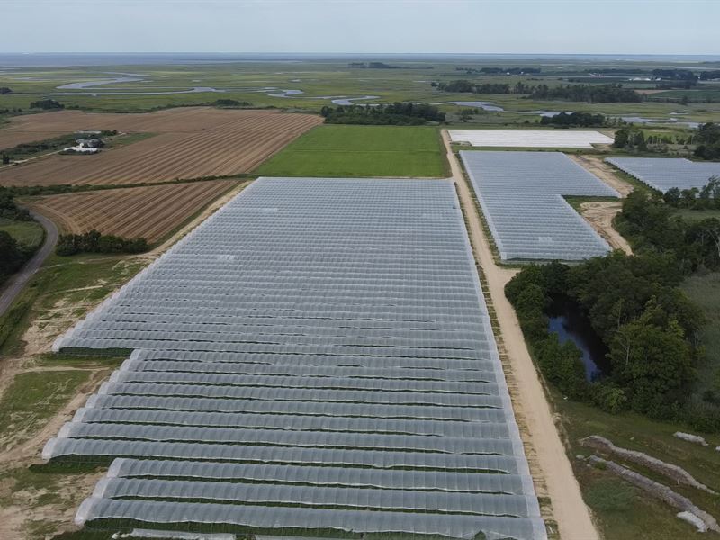 Cumberland County Farms : Cedarville : Cumberland County : New Jersey