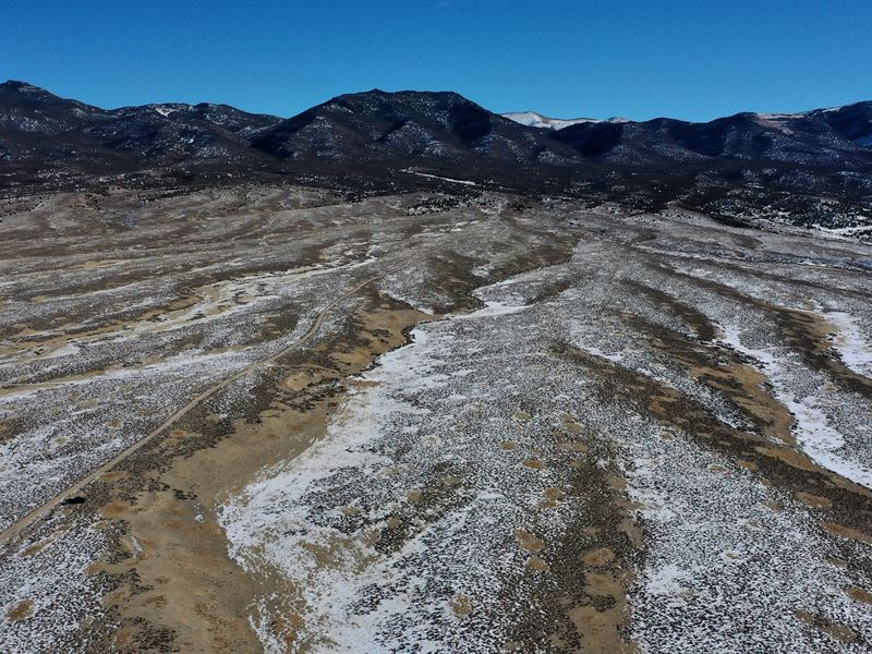 Saddle Up and Ride to Freedom : Montello : Elko County : Nevada