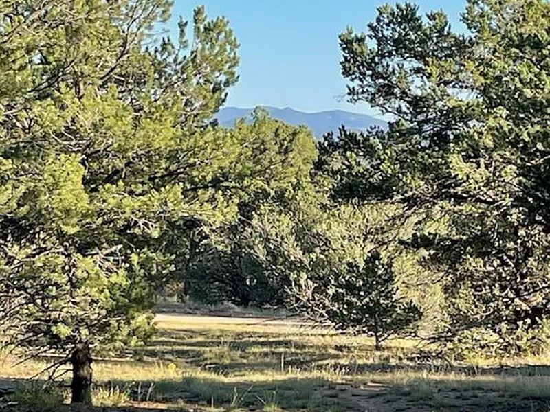 5.24 Acres in Cotopaxi, CO : Cotopaxi : Fremont County : Colorado