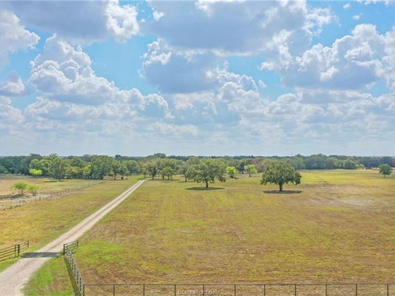 Amazing 20 Acres in Brazos County : Bryan : Brazos County : Texas
