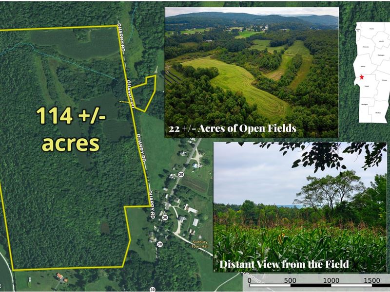 Forest & Farmland in Sudbury, VT : Sudbury : Rutland County : Vermont