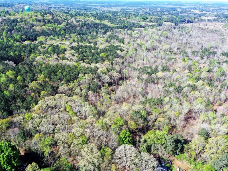 82.99 Acres in Anson County, NC, Farm for Sale by Owner in North