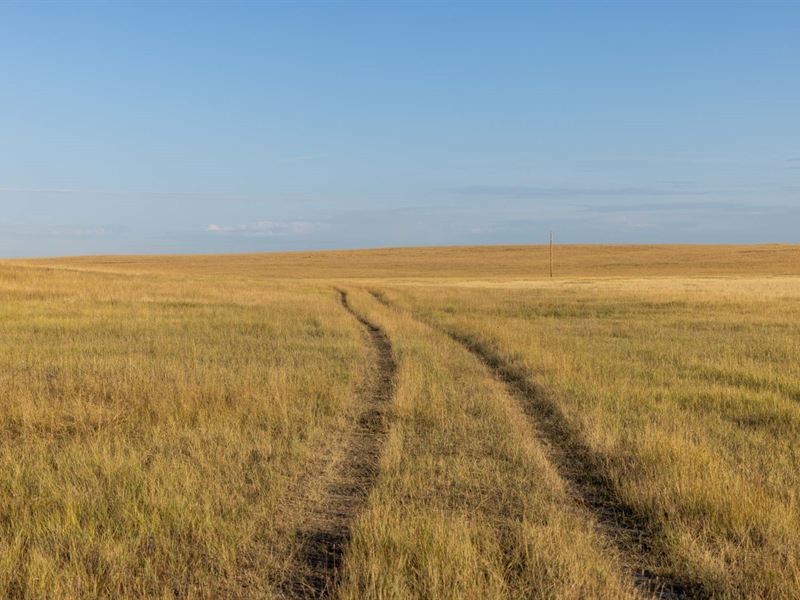 WY Ranch Property Absolute Auction, Farm Auction in Wyoming, 360220