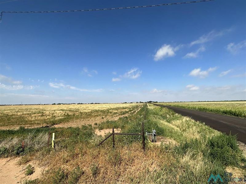 Eastern NM Small Farm on Pavement, Farm for Sale in New Mexico, 360234