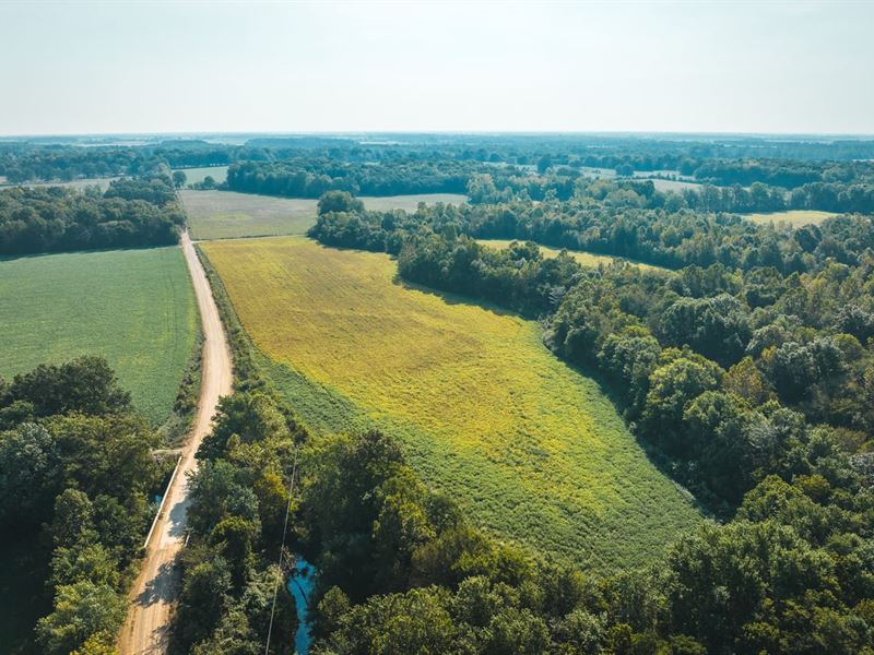 Logan Creek Farm & Hunt : Doniphan : Ripley County : Missouri