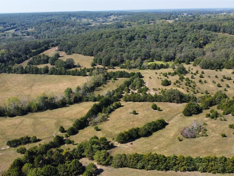 65 Acres in Laclede County Missouri, Farm for Sale in Missouri, 360254