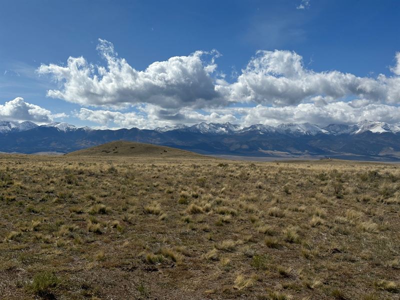 Locked & Loaded : Westcliffe : Custer County : Colorado