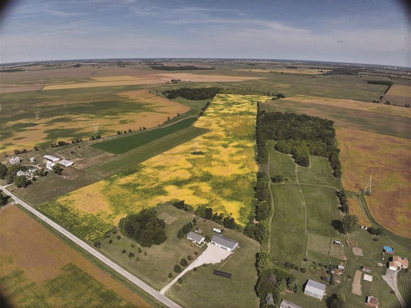 5 Grain Farms, Various Locations, Farm Auction in Ohio, 360368 FARMFLIP