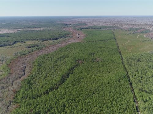 580 Acres of Recreation Land : Ebro : Bay County : Florida