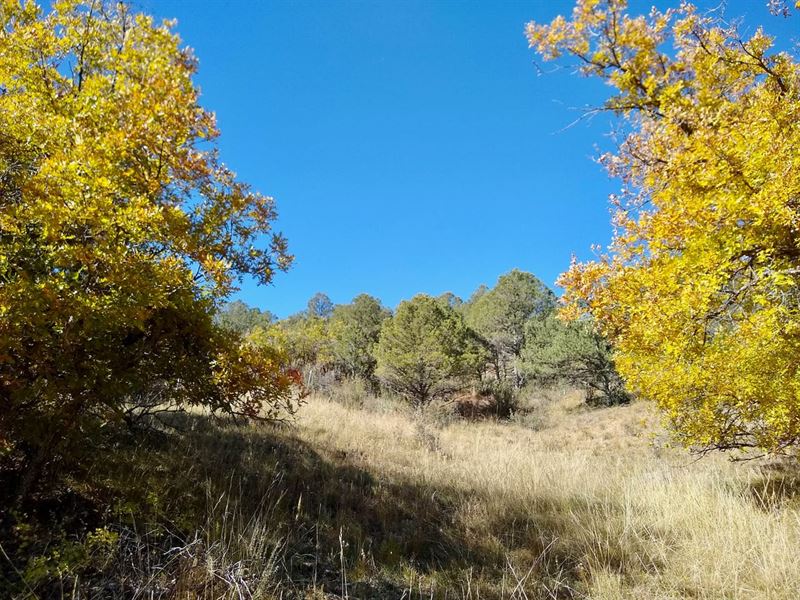 Canyon Springs Ranch : Canon City : Fremont County : Colorado
