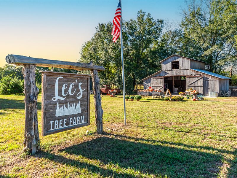 Tree Farm for Sale in Detroit, TX, Farm for Sale in Texas, 360632