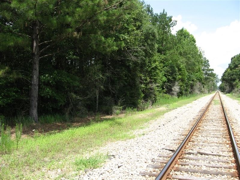 McClain Tract : McClain : Greene County : Mississippi