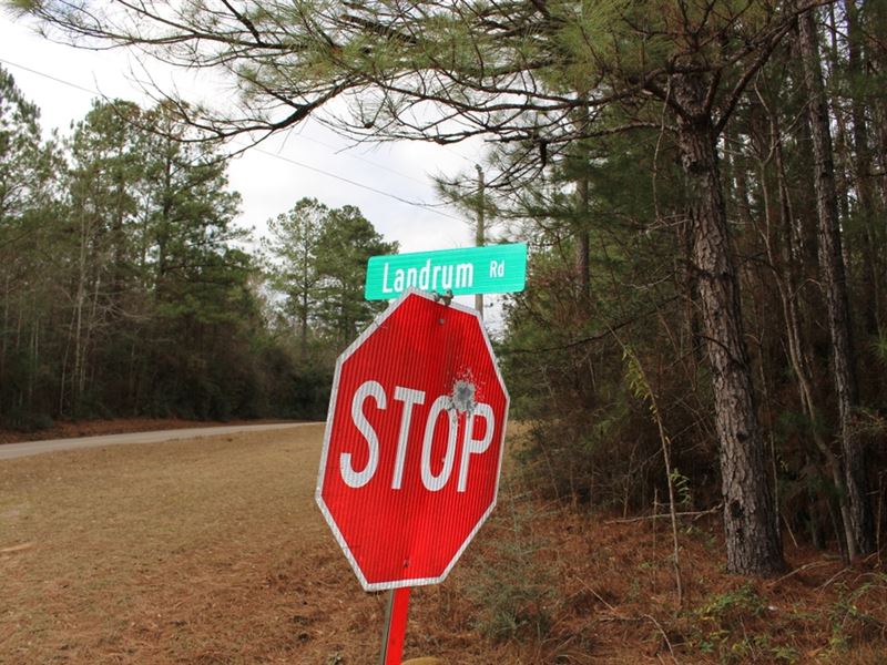 Landrum Road : Lumberton : Forrest County : Mississippi
