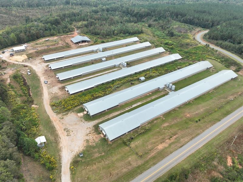 Poultry Farming Opportunity in Alex : Alexander City : Tallapoosa County : Alabama