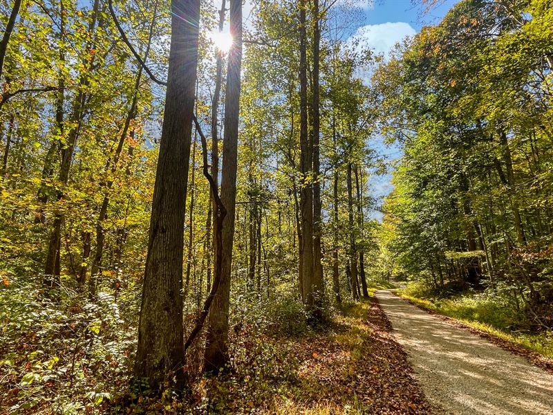 Bordering Wayne National Forest : Wheelersburg : Scioto County : Ohio