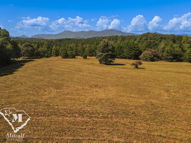 82 Acres Near Tryon, NC, Farm for Sale in North Carolina, 361109
