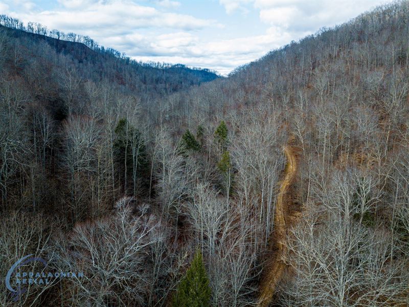 Pretty Branch Tract : Breeden : Mingo County : West Virginia
