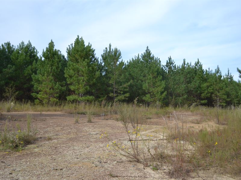 Rock Springs Road : Glenwood : Laurens County : Georgia