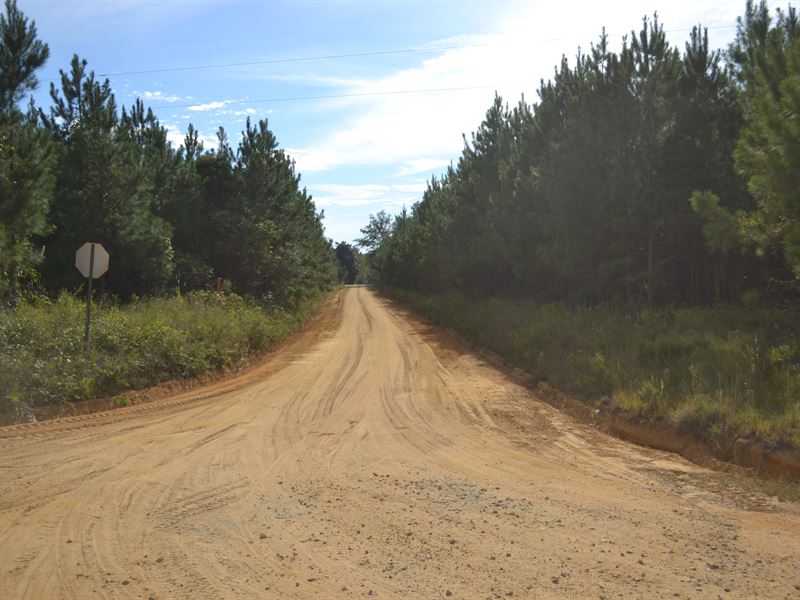 Rock Springs Road Homesite : Glenwood : Laurens County : Georgia