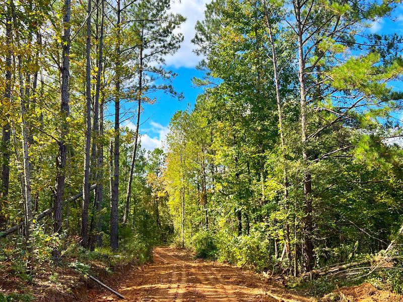 Gravel Creek Farmstead, Farm for Sale in Alabama, 361244 FARMFLIP