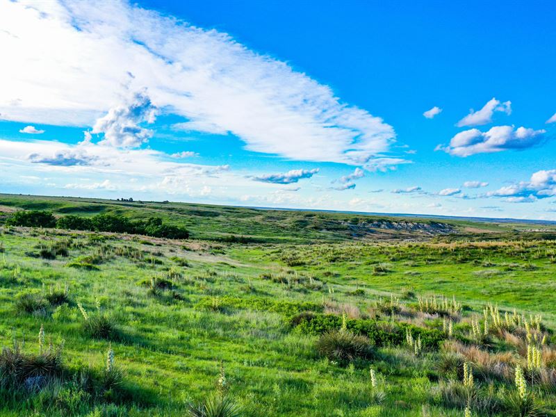 Gove County Canyons, Farm for Sale in Kansas, 361249 FARMFLIP