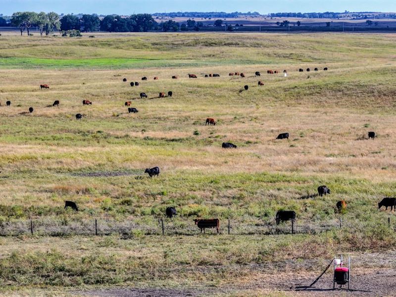 400 Acres, More or Less, Tract 3 : Neligh : Antelope County : Nebraska