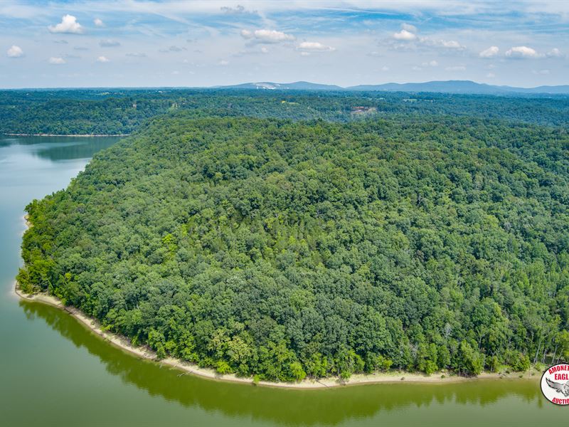 283+/ Acres, Farm Auction in Kentucky, 361275 FARMFLIP