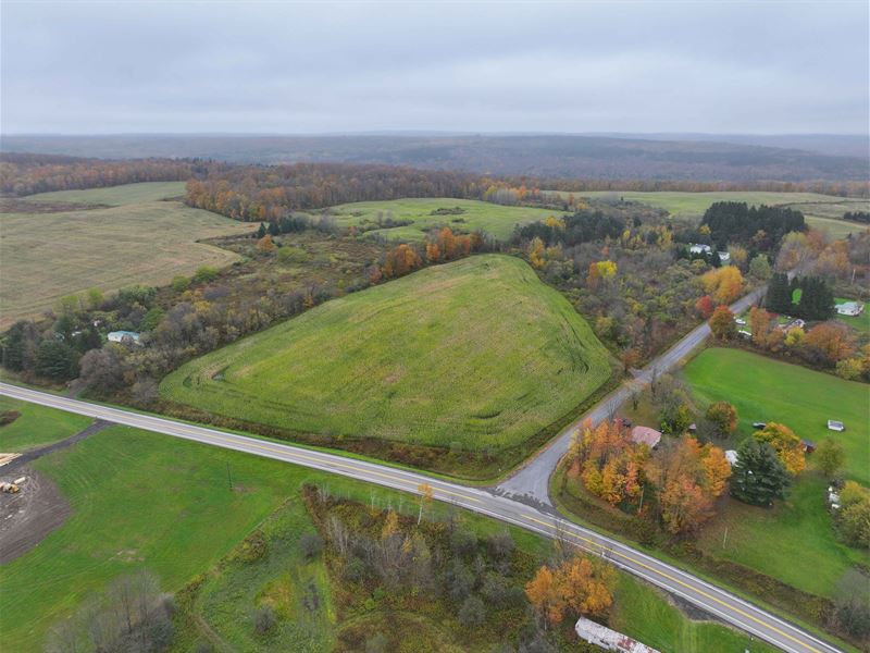 Spectacular Offering in The Country : Sempronius : Cayuga County : New York