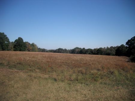 25 Acres Mini Farm : Dublin : Laurens County : Georgia