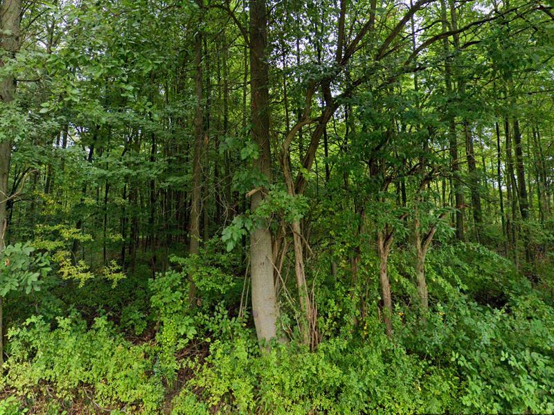 Unrestricted 5.08 Acres : Beloit : Mahoning County : Ohio