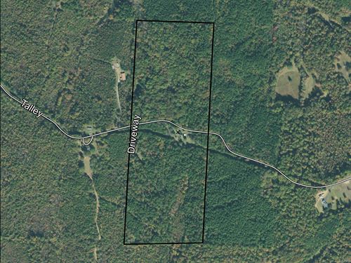 Hunting / Residential Land : Hornsby : McNairy County : Tennessee