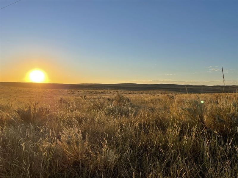 Condon Kennedy Pasture : Fleming : Logan County : Colorado