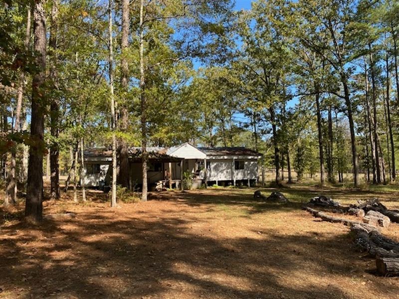 Mobile Home & 13 Acres in Amite : Summit : Amite County : Mississippi